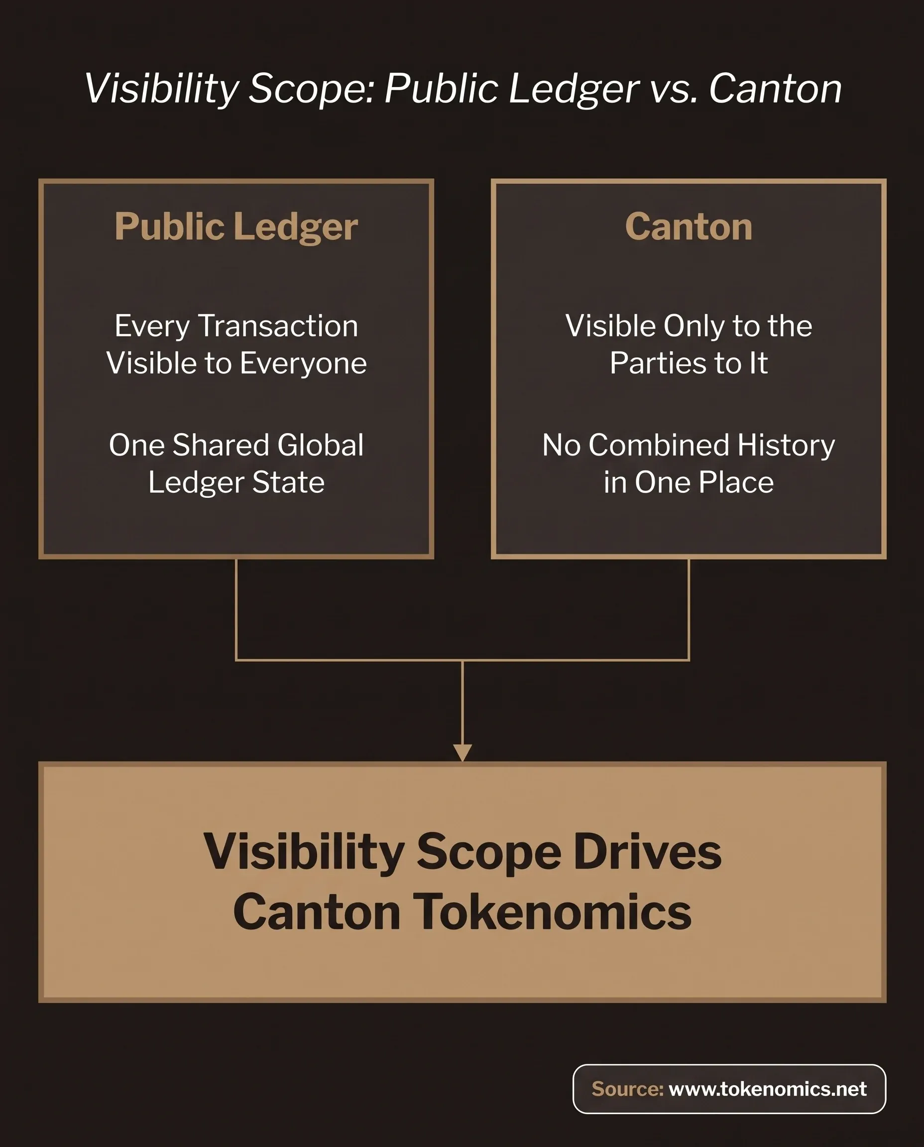 A comparison-table infographic on a warm charcoal field contrasting two visibility models: a fully public ledger, where every transaction is visible to every participant and the ledger reads as one shared global state, on the left, versus Canton's need-to-know model, where each party sees only the portion of a transaction it is party to and no combined history exists in one place, on the right, both converging on a single institutional-gold outcome panel reading that visibility scope drives Canton tokenomics.